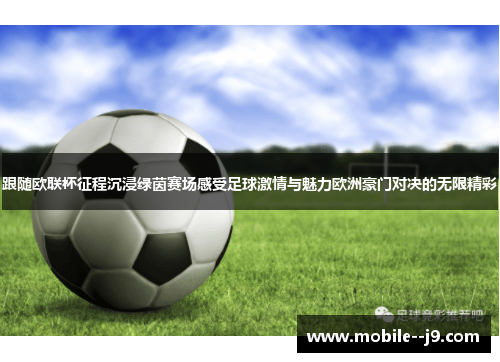 跟随欧联杯征程沉浸绿茵赛场感受足球激情与魅力欧洲豪门对决的无限精彩