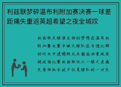 利兹联梦碎温布利附加赛决赛一球差距痛失重返英超希望之夜全城叹